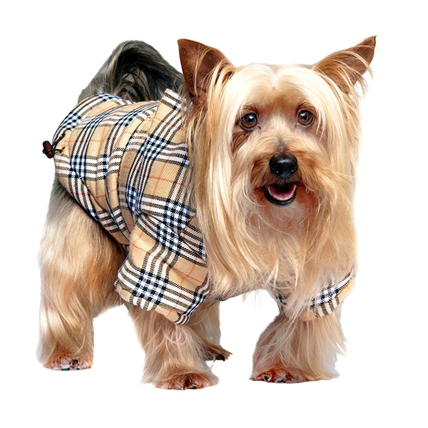 manteau burberry pour chien