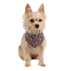 Bandana pour chien Carlotta