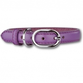 Collier pour chien mauve éclat