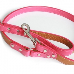 Laisse pour gros chien rose