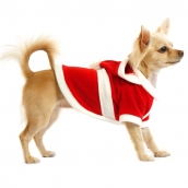 Manteau de Noël pour chien