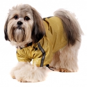 Imperméable pour chien coloris or