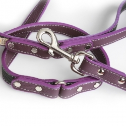 Laisse pour gros chien violette