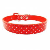 Collier pour chien Darling