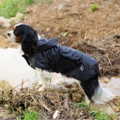 Imperméable pour chien Froggy