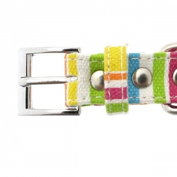 Collier pour chien arc-en-ciel