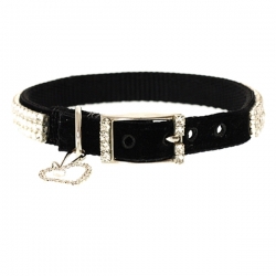 Collier pour chien Swaroski