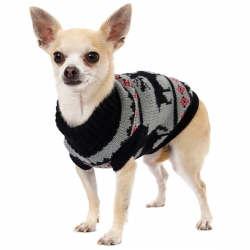 Pull pour chien Jingle Bells