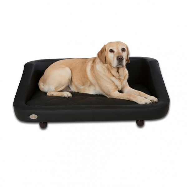 Canapé noir moderne pour chien - Canapé luxe pour chien