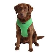 Harnais pour chien vert Puppia