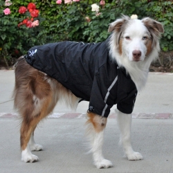 Manteau pour gros chien réversible noir 