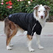 Manteau pour gros chien réversible noir 