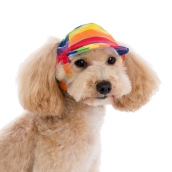 Casquette pour chien Jamaïque