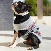 Pull pour chien Jingle Bells