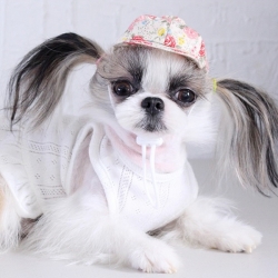 Casquette pour chien Portofino