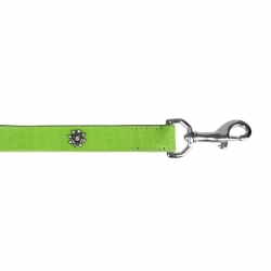 Laisse pour chien verte avec strass