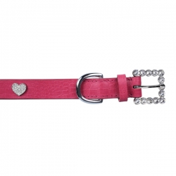 Collier pour chien rose avec strass