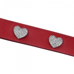 Collier pour chien rouge avec strass