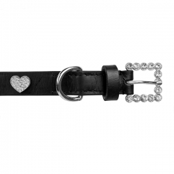 Collier pour chien noir avec strass