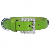 Collier pour chien vert avec strass