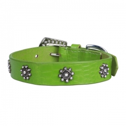 Collier pour chien vert avec strass