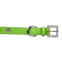 Collier pour chien vert avec strass