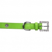 Collier pour chien vert avec strass