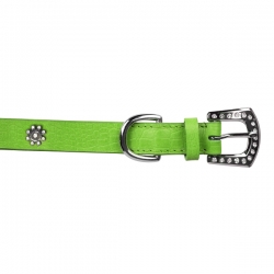 Collier pour chien vert avec strass