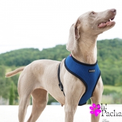 Harnais pour chien bleu Puppia