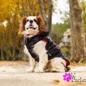 Doudoune pour chien réversible noire