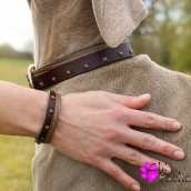 Collier pour chien Trinidad