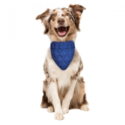 Bandana pour chien rafraîchissant