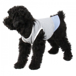 T-shirt pour chien matelot