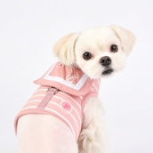 Harnais pour chien marin chic