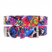 Collier pour chien Pop Art