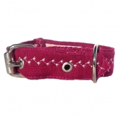 Collier pour chien Capri