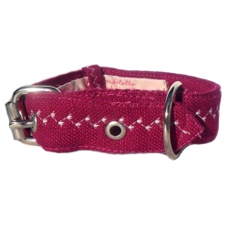 Collier pour chien Capri