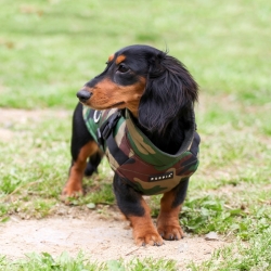 Manteau pour chien camouflage Puppia