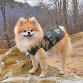 Manteau pour chien camouflage Puppia