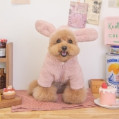 Manteau pour chien Bunny