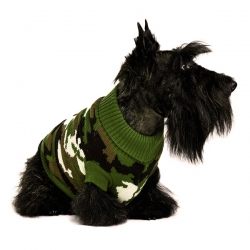 Pull pour chien camouflage