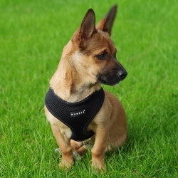 Harnais pour chien noir Puppia