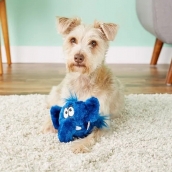 Jouet pour chien Boom l'éléphant