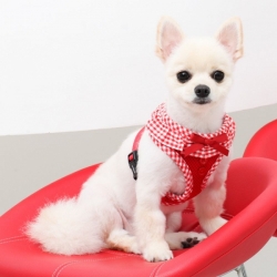 Harnais pour chien Vichy Puppia rouge