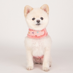 Harnais veste pour chien Scarlett rose