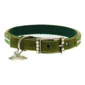 Collier pour chien Swarovski vert