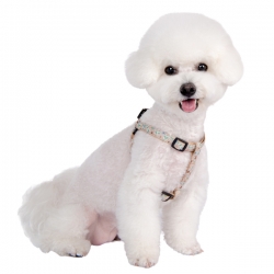 Harnais pour chien Lilas beige Puppia