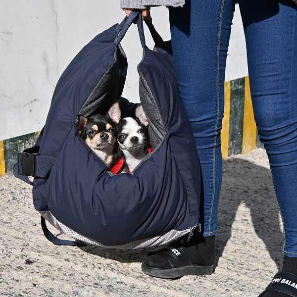 Panier de transport pour chien en voiture - Monde du Chien