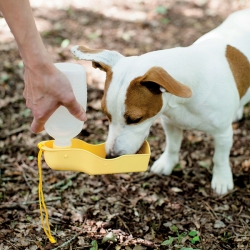 Gourde d'eau pour chien