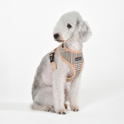 Harnais pour chien Windsor Puppia